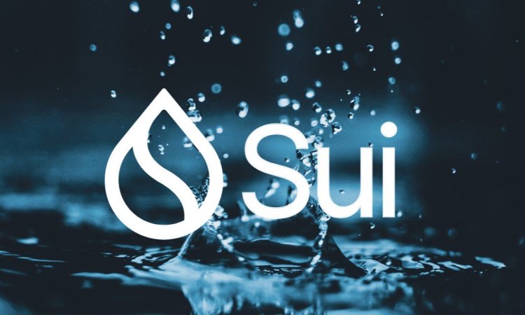 Sui Network Ngừng Hoạt Động Hơn Hai Giờ