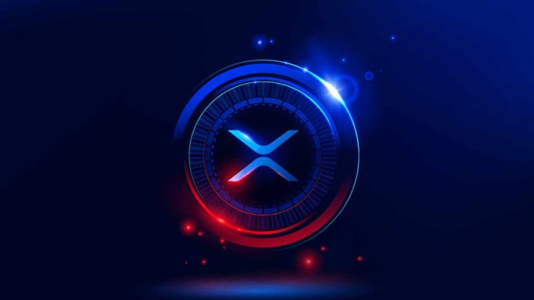 Ripple Đầu Tư Vào XRP ETP Trong Bối Cảnh Nhu Cầu Tiền Mã Hóa Toàn Cầu Bùng Nổ