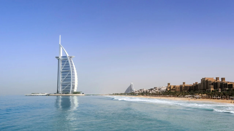 Dubai's SEE Institute and Cardano Foundation Join Forces for Blockchain-Powered Sustainability