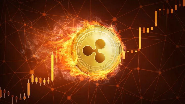 Ripple CTO Warns of RLUSD Shortages: Cautions Against FOMO Buying