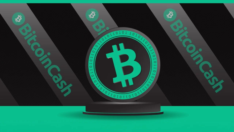 Community Rallies to Save Bitcoin Cash API Service Through Fundraising