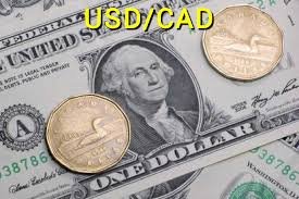 USD/CAD giảm xuống gần 1.4400 khi đồng CAD được hỗ trợ từ giá dầu tăng